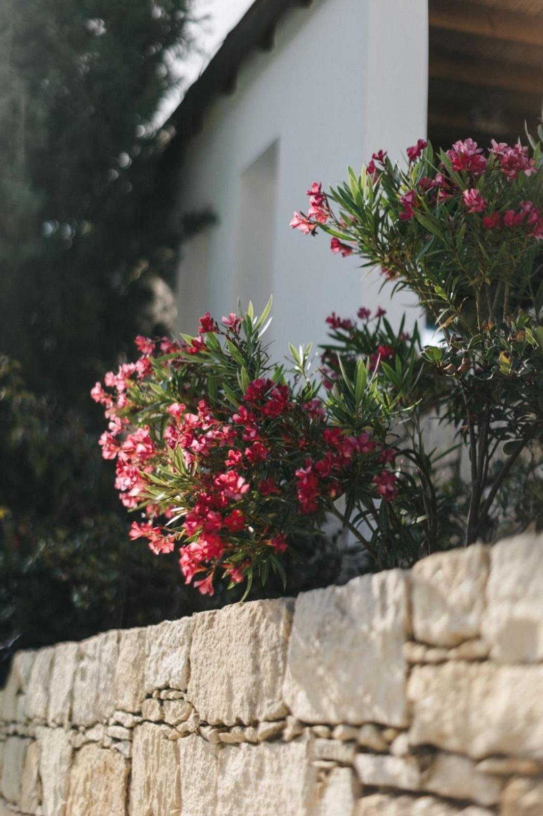 Hostal Cecilias Courtyard Malya Exterior foto